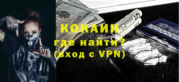 крисы Бородино
