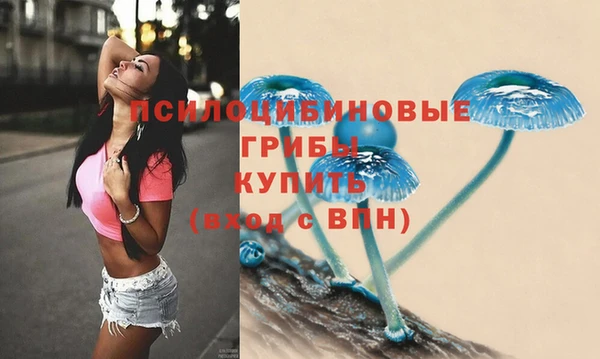 прущий лед Переславль-Залесский